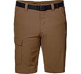 Image of Jack Wolfskin Hoggar Shorts - Men's