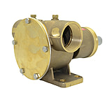 Image of Johnson Pump Npt Pedestal Mount Pump 1in Shaft