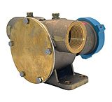 Image of Johnson Pump 10-13022-95 Npt Clutch Pump Bare Shaft