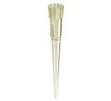 Image of Labcon and Signature Bevel Point Pipet Tips for Eppendorf Pipettors with Tip Ejector 1167-960-306 Vwr Signature Low-Binding Tips, Clear, Pack of 960