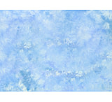 Image of Lastolite 10'x12' Washable Muslin Background - Maine LL LB7748