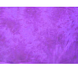 Image of Lastolite 10'x24' Washable Muslin Background - New York LL LB7855