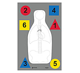 Image of Law Enforcement Targets DT-ANTQ-A MultiPurpose FBI-Q/Vital Anatomy/Commands 23x35 Inch 100 Per Case DT-ANT-A