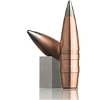 Image of Lehigh Defense Match Solid Lead-Free Bullets Flash Tip