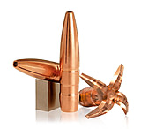 Image of Lehigh Defense Maximum Expansion .300 AAC Blackout 194 Grain Hollow Point Centerfire Rifle Bullets