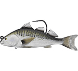 Image of Live Target Croaker Swimbait