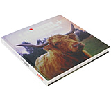 Image of Lomography Love at Waist Level Lubitel Photo Book