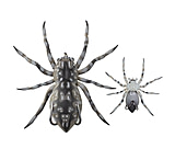 Image of Lunkerhunt Phantom Spider Bait Topwater