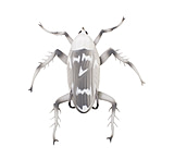 Image of Lunkerhunt Reckless Roach Soft Bait