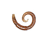 Image of Lunkerhunt River Worm Worm