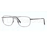 Image of Luxottica Titanium Eyeglasses LC1353T with Rx Prescription Lenses 