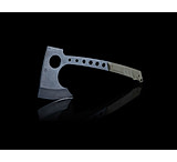 Image of Medford Bearded Hawk