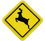 Image of Merica Life Deer Crossing Sign Patch
