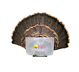 Image of Mojo Fan Press Decoy