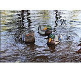 Image of Mojo Fatal Front/ Folding Keel Decoys