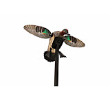Image of Mojo Elite Series Green Wing Teal Decoy