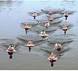 Image of Mojo Jerk A Spreader