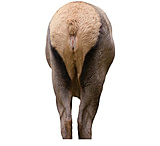 Image of Montana Decoy Co. Elk Rump Decoy