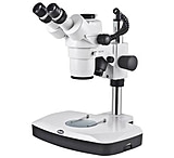 Image of Motic Instruments Stereo Microscope SMZ-168-TL PX55.0C6.101