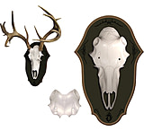 Image of Mountain Mike's Black Forest Deer Plaque Kit