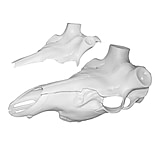 Image of Mountain Mike's Elk SkullMaster