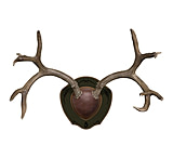 Image of Mountain Mike's Rack Plaque