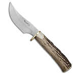 Image of Muela Skinner Fixed Blade Knife Stag Horn 3.875 Satin 26A42BFF