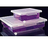 Image of Nalge Nunc Staining Boxes, NALGENE 5705-1010