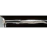 Image of Nicole Miller Flare SENM FLAR00 Eyeglass Frames