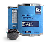 Image of Nutrient Survival Freeze Dried Blueberries #10 Can 1BDBB060