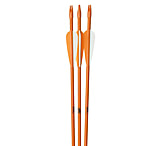 Image of October Mountain Youth Arrow