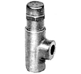 Image of BSM Pump 1/4in Relief Valve 5011112995