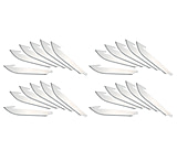 Image of Outdoor Edge Cutlery 24 piece 3.5in Replacement Blade Pack