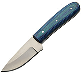 Image of Pakistan Umbra Forest Skinner Blue