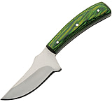 Image of Pakistan Umbra Forest Skinner