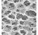 Image of Pall Nylaflo Membrane Disc Filters, Pall Life Sciences 66606, Pack of 100