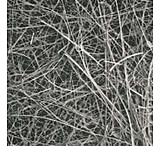 Image of Pallflex Emfab Filters, Pall Life Sciences 7222, Pack of 100