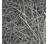 Image of Pallflex Emfab Filters, Pall Life Sciences 7252, Pack of 100