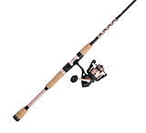 Image of Penn Fishing Passion II Rod &amp; Reel Combo