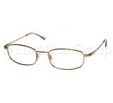Image of Polo Eyeglass PH1006