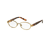 Image of Polo PP8037 Eyeglass Frames