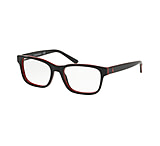 Image of Polo PP8534 Eyeglass Frames