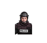 Image of Premier Crown Corp Liquitac Face Shield