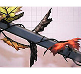 Image of Qad Sneaky Leaf Vine