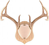 Image of Quaker Boy Deluxe Horn Mount Kit