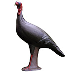 Image of R and W Targets Walking Turkey Target