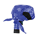 Image of Radians Arctic Skull Head Shade Blue Paisley RCS308