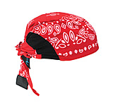 Image of Radians Arctic Skull Head Shade Red Paisley RCS307
