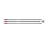 Image of Rage Simply Lethal Arrow Pkg