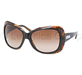 Image of Ralph Lauren RL8076 Sunglasses